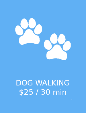 /static/images/dog_walking_tile.png