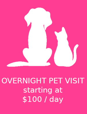 /static/images/overnight_pet_visit_tile.png